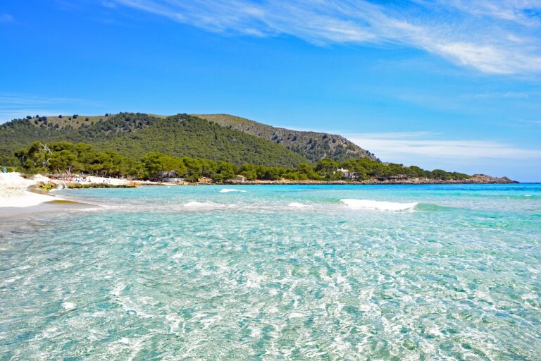 Scopri di più sull'articolo MAIORCA
