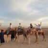 Marrakesh & Essaouira & Agafay 4-8 marzo - immagine 8